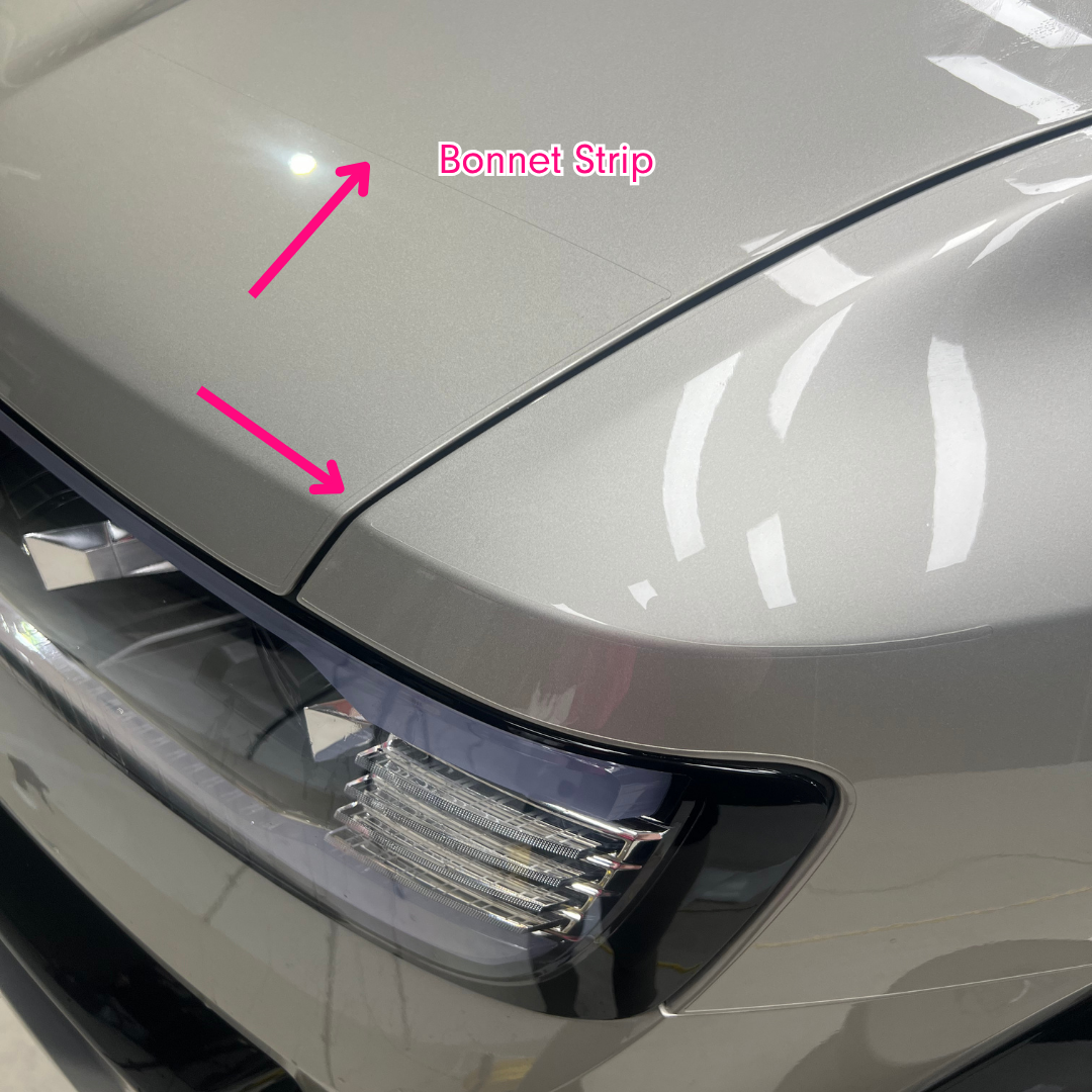 Templated Bonnet Strip - To Suit Denza B8