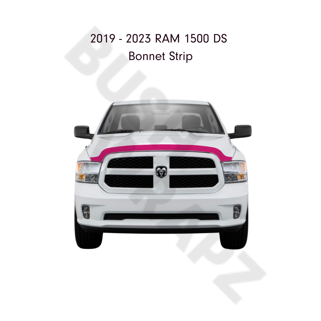 BushWrapz Kit - To Suit RAM 1500 DS Classic Crew Cab Express