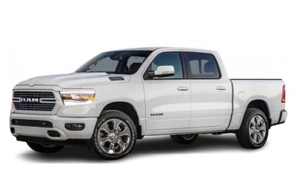 BushWrapz PRO - RAM 1500 DT - Crew Cab - Tradesman